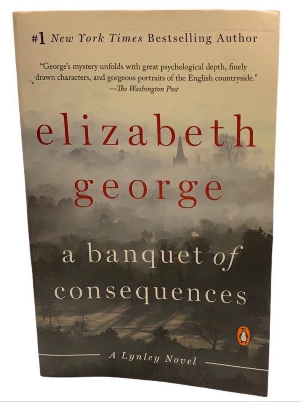 Mystery. A banquet of consequences